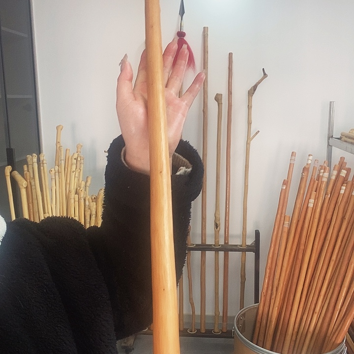 秦岭山脉的红荀子木