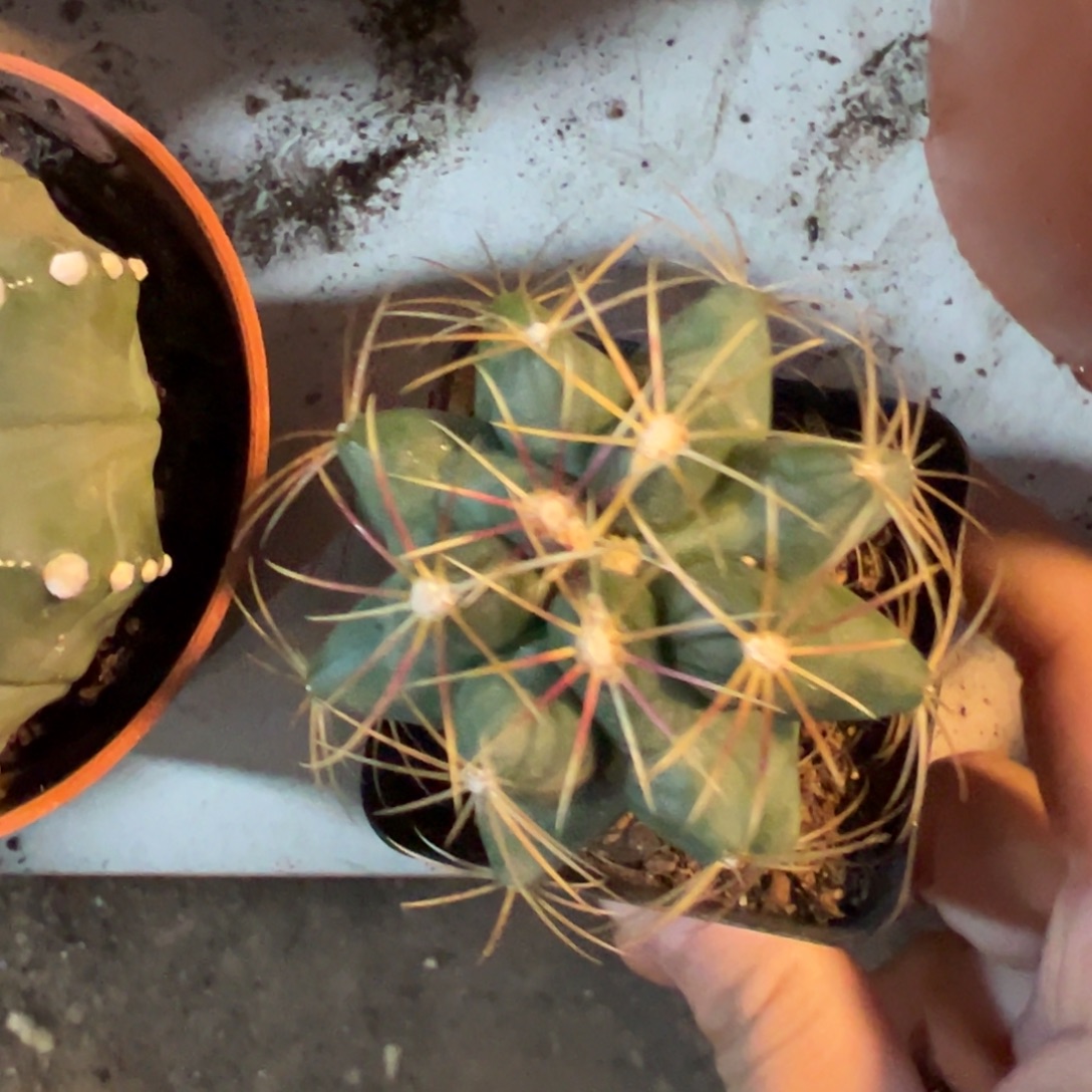 城***中哈哈哈哈哈哈哈哈哈哈哈