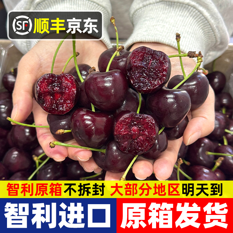 3JD特大果【明天到】智利进口车厘子内附果径卡5-1.6斤原箱海运AA