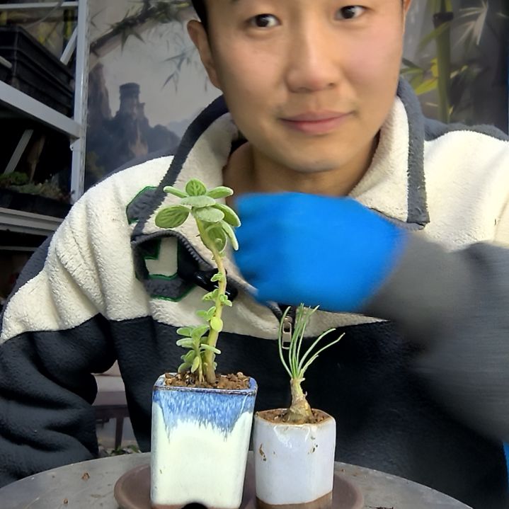 不****中青园艺一物一拍花176