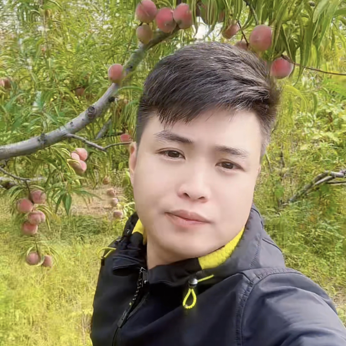 冬季水果小红桃脆甜冬桃（乒乓球大小）