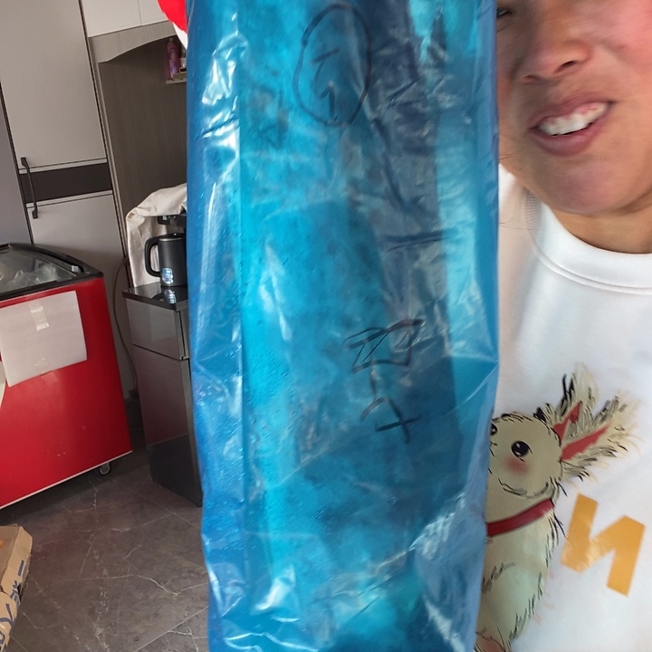 中国大陆渤海湾野生燕鲅鱼12号