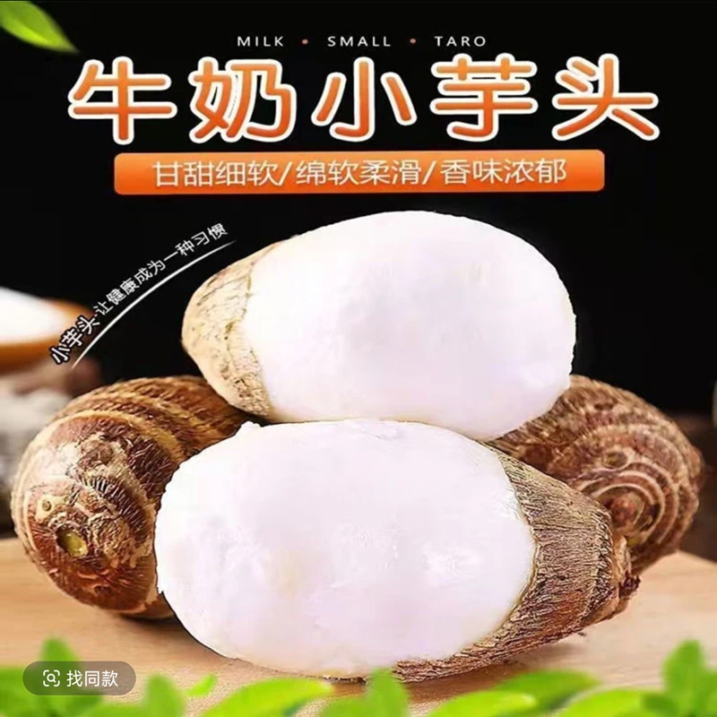 【主播推荐】贵州现挖新鲜小芋头牛奶毛芋头软糯粉香芋仔芋艿蔬菜
