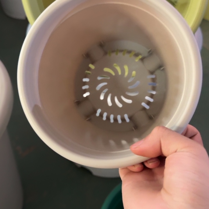 四季2号无托灰白10个