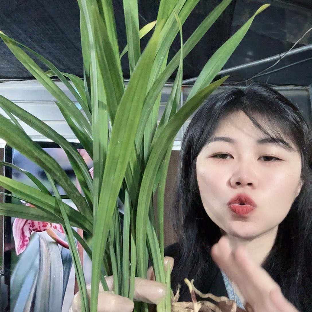 完全开放2222222222