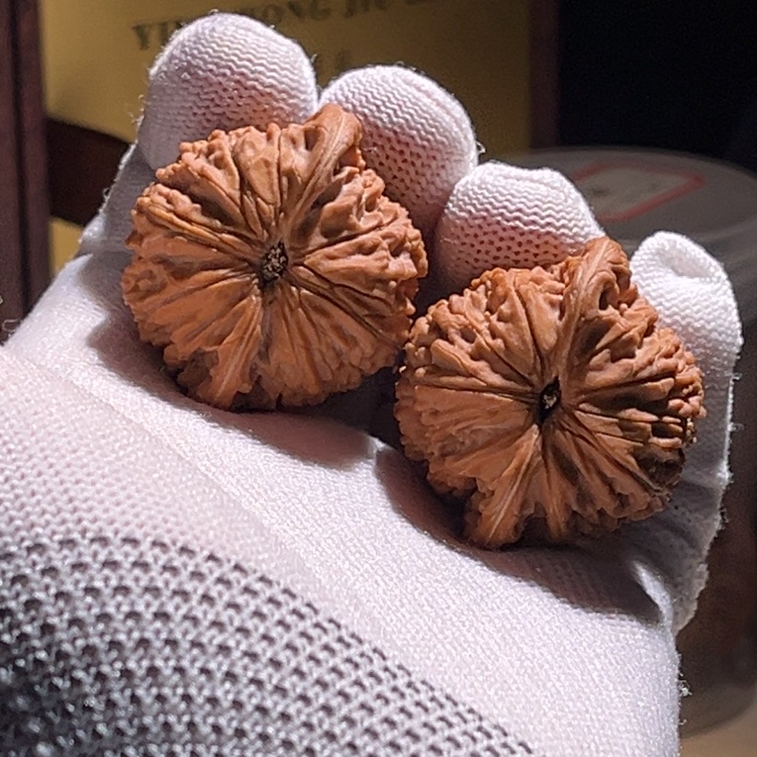 H***✘钱品。39全品。磨盘是你。