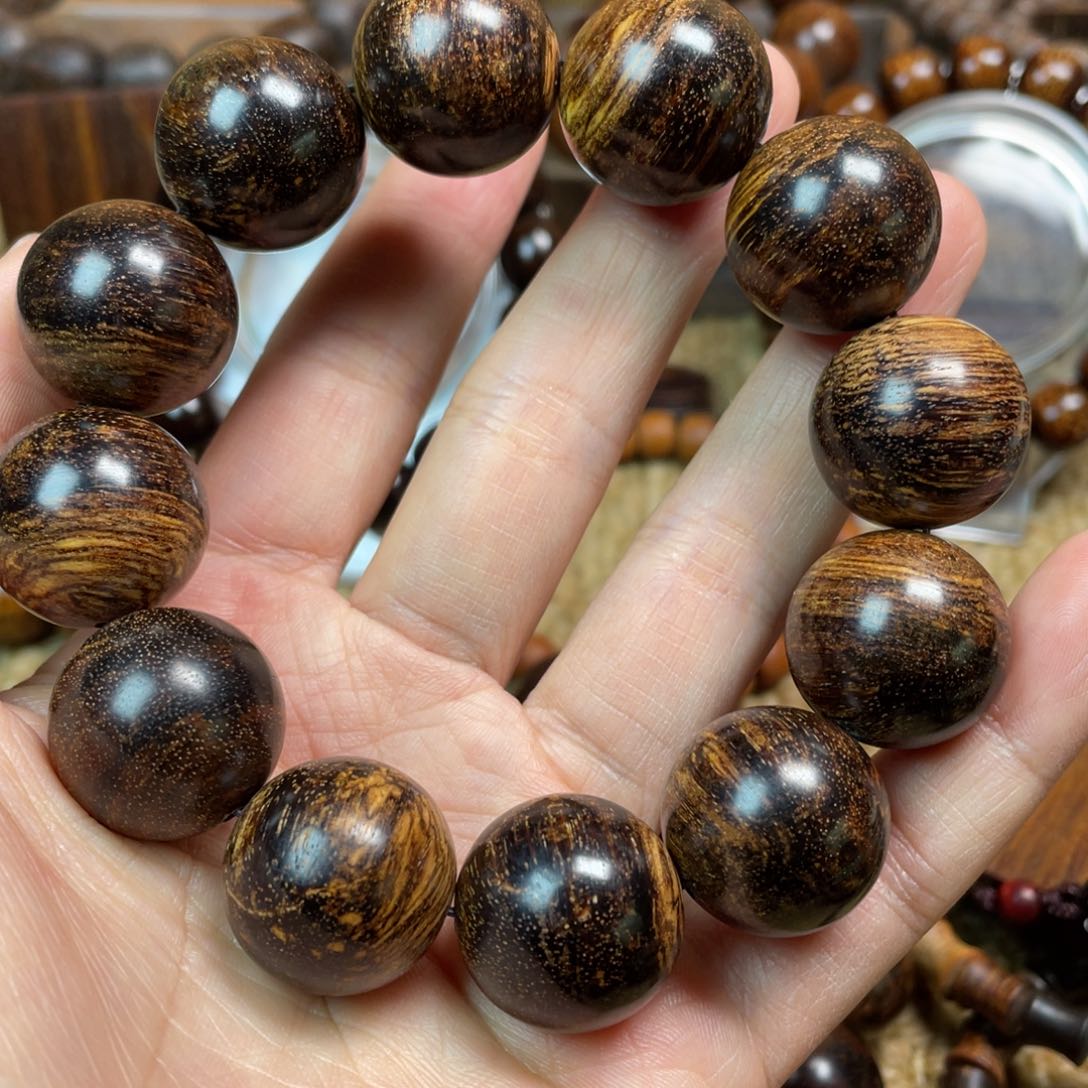 贡木其他眼*巴布亚新几内亚