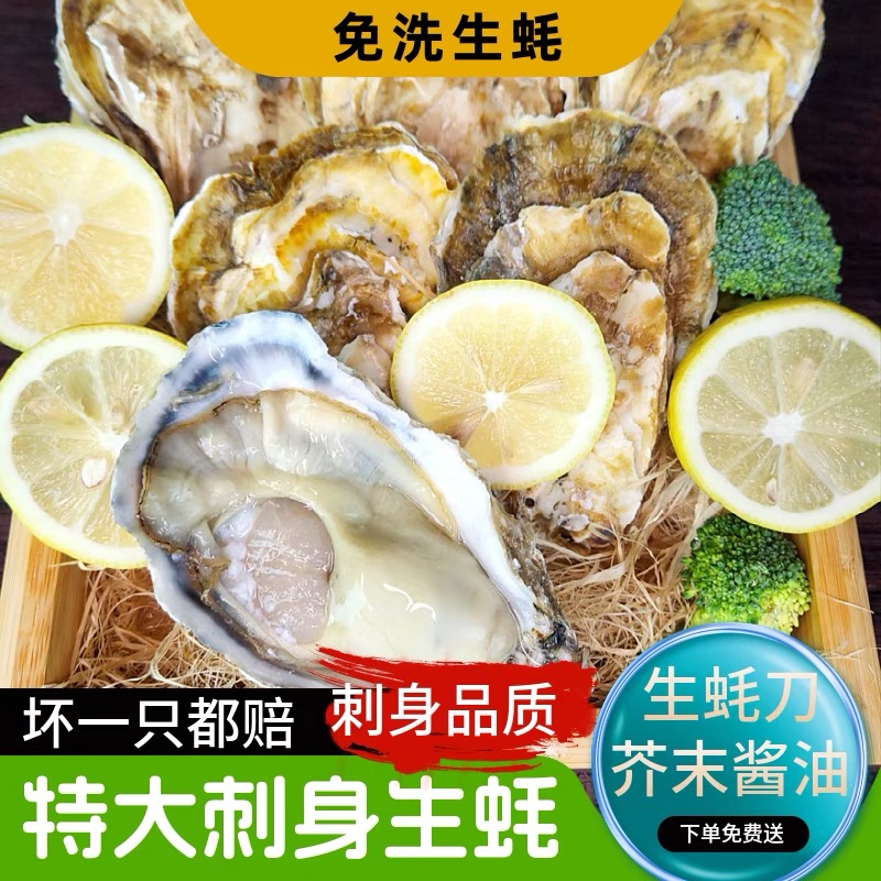刺身级太平洋琴岛生蚝鲜活肥美冷水蚝一箱14只装大蚝 每盒/3.5KG