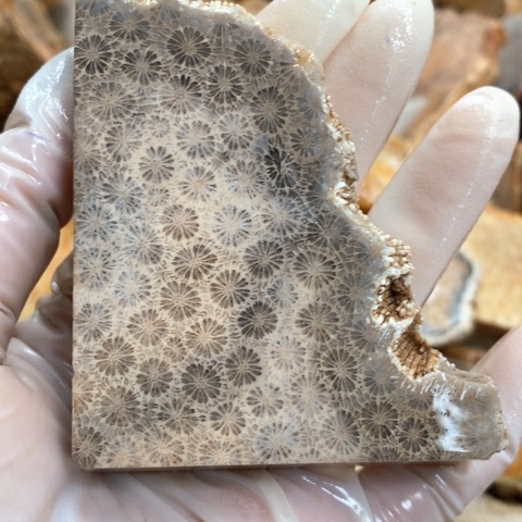 【闪购商品】硅化玉吊坠(不含链)未镶嵌