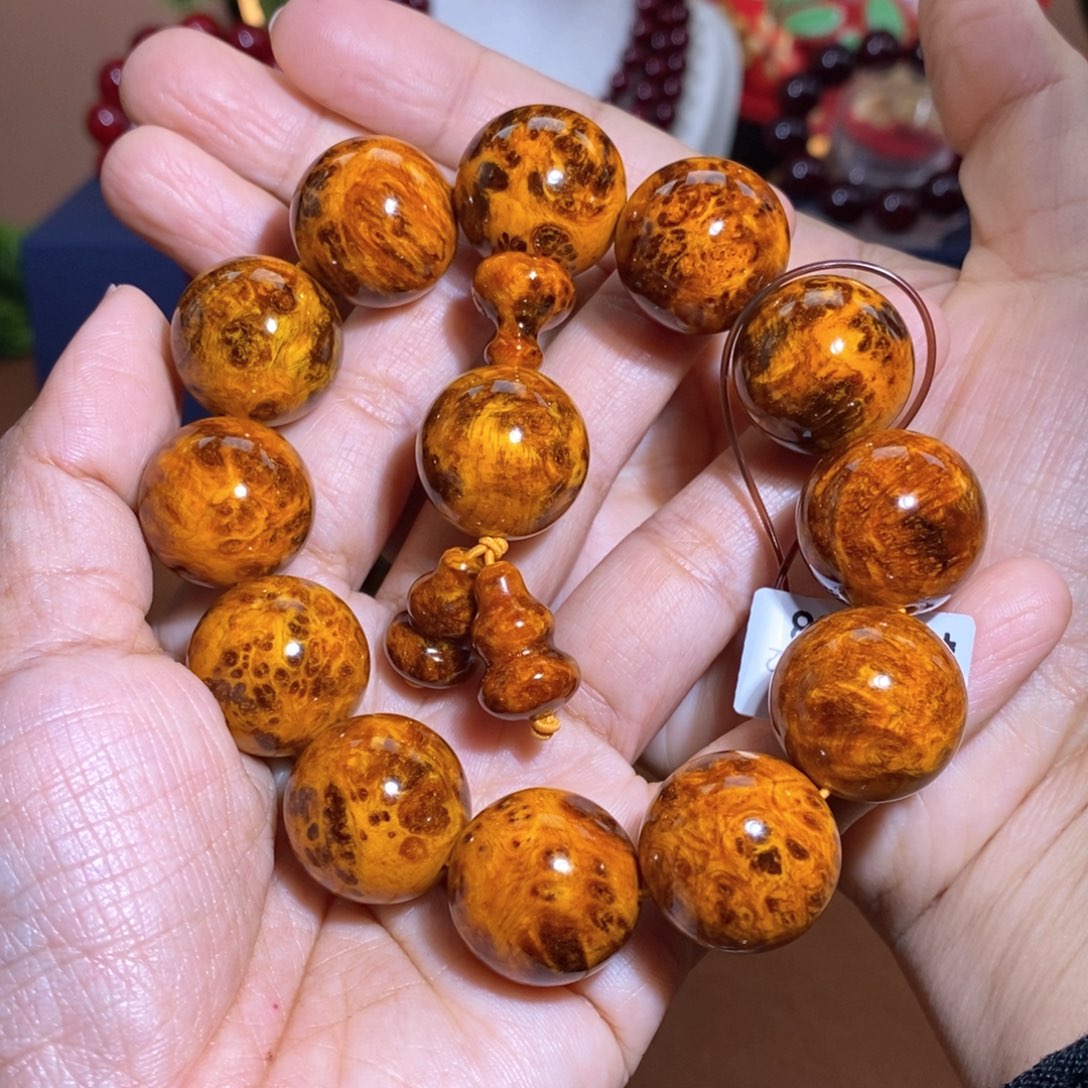 贝壳杉笑**开帝王血龙木2.0爆满留疤顶品