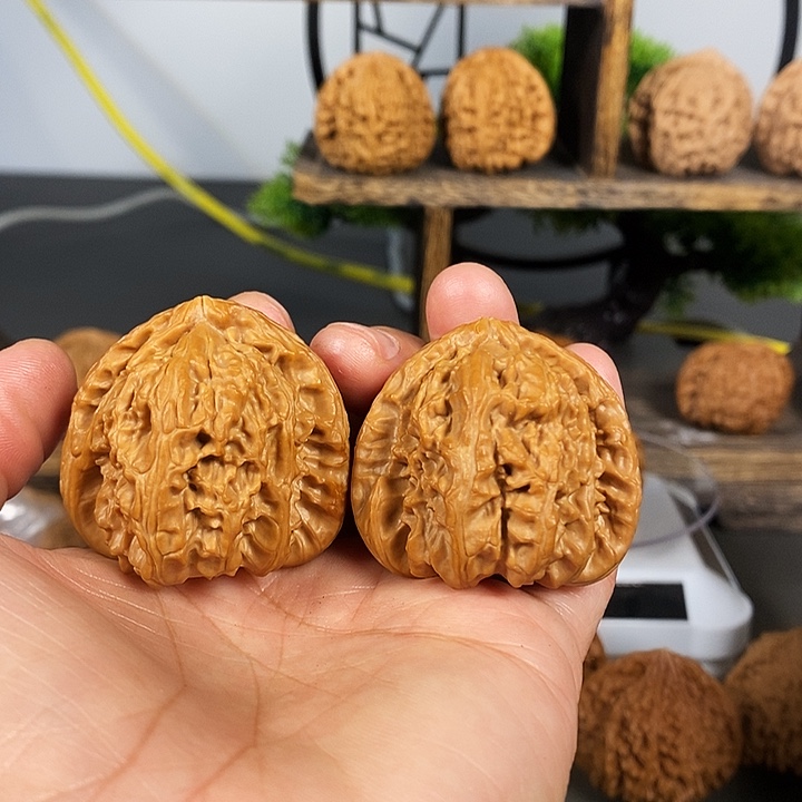 文玩核桃把件角白42尺红皮果骨质好