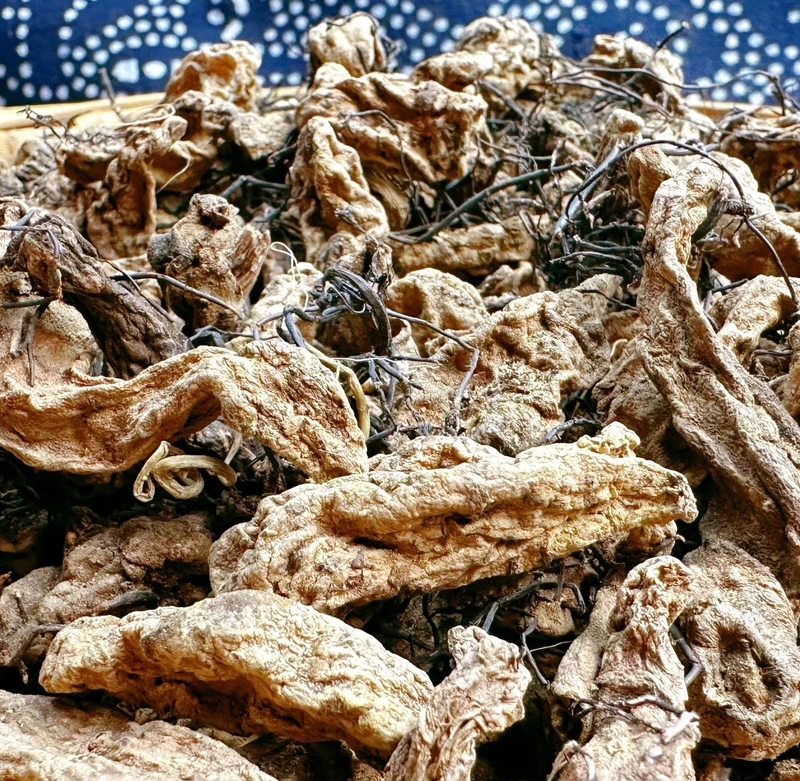 【原始农品】——菌丝天麻