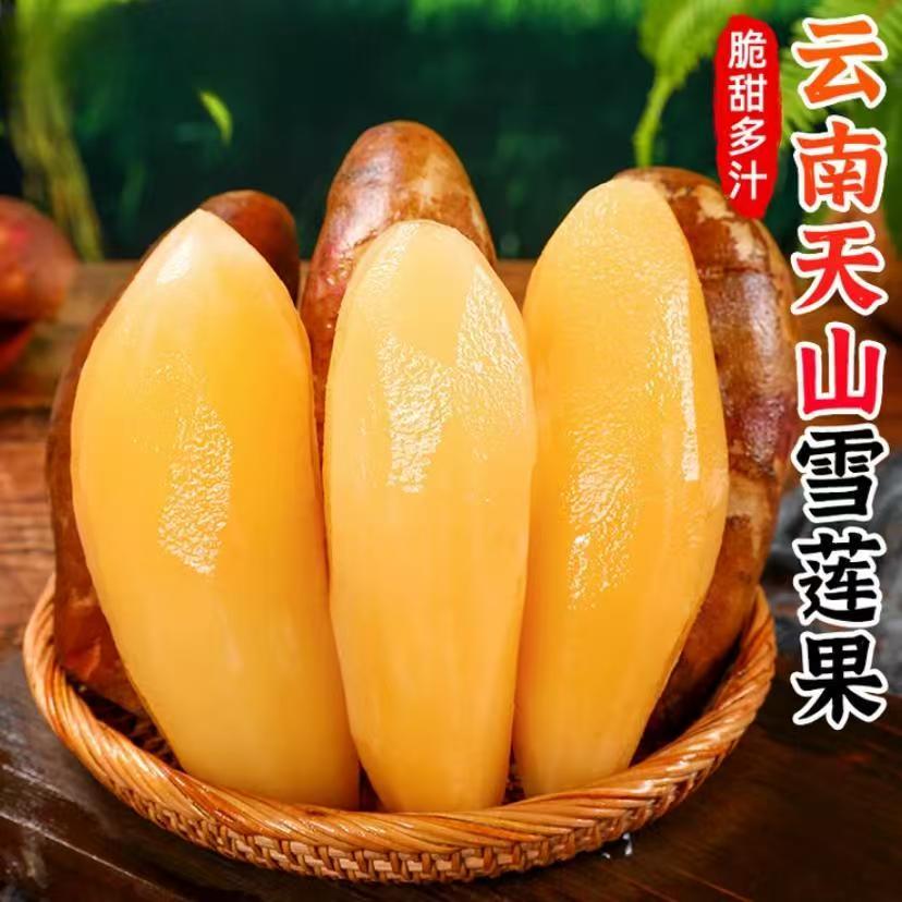 云南高原山红泥沙雪莲果新鲜水果黄心现挖现发清甜多汁当季水果