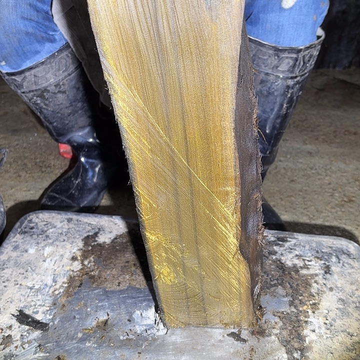 小***贝金丝楠啊啊啊啊啊啊