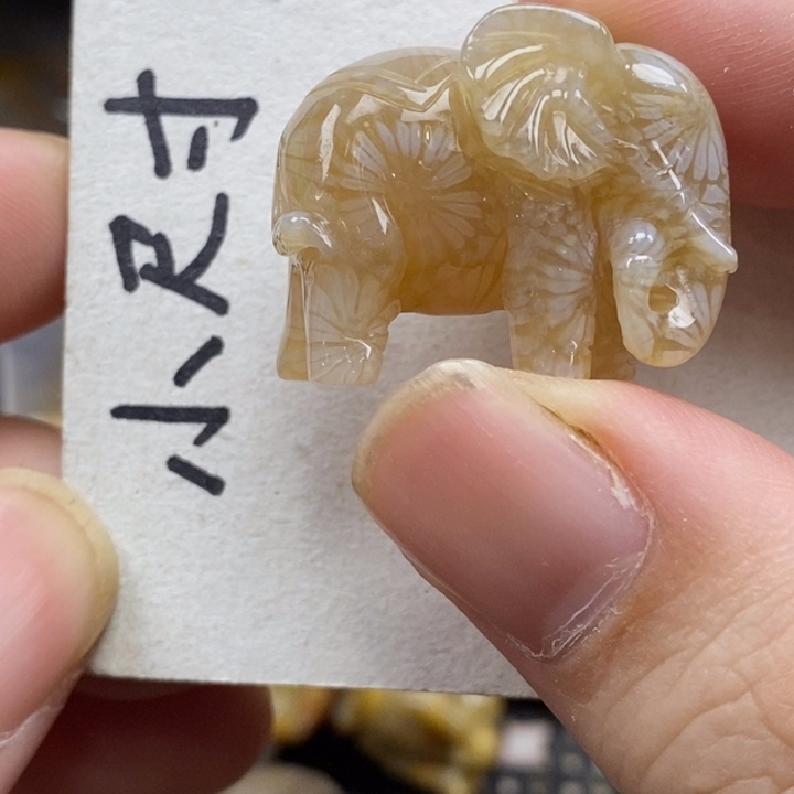 硅化珊瑚（珊瑚玉）未镶嵌颈饰