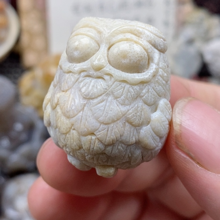 颈饰未镶嵌硅化珊瑚（珊瑚玉）