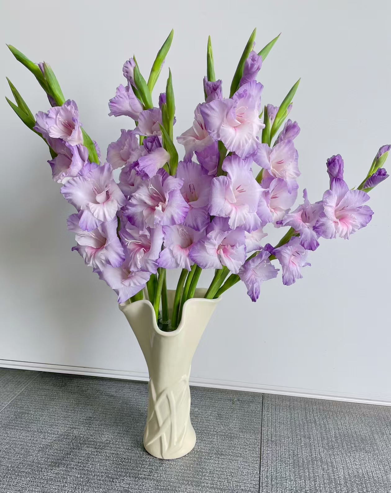 氧花季 诺帝卡剑兰 收到先醒花 云南直发