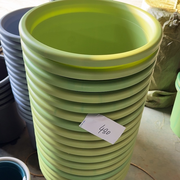 编号480串色果绿4个无托