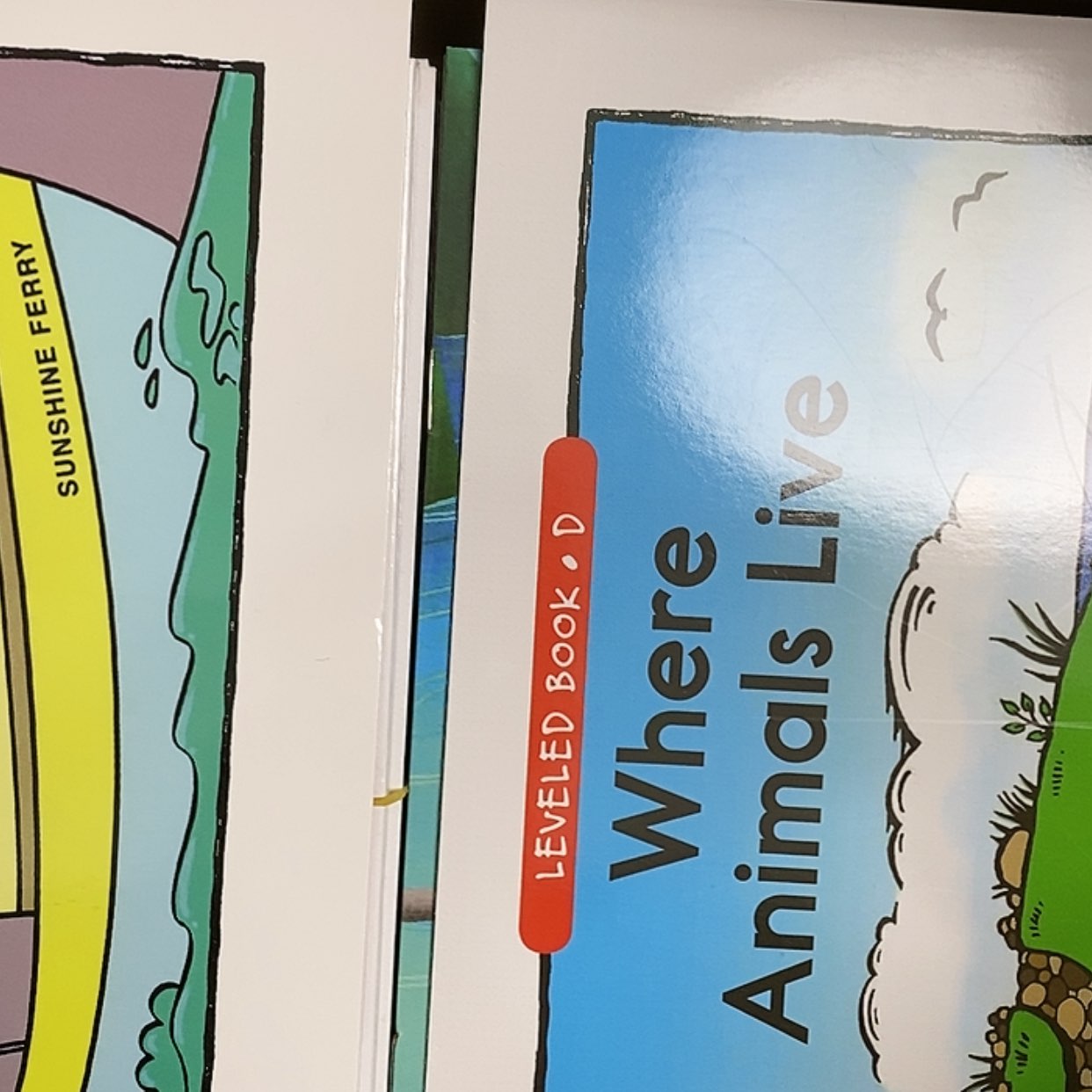 【闪购商品】RaZ d