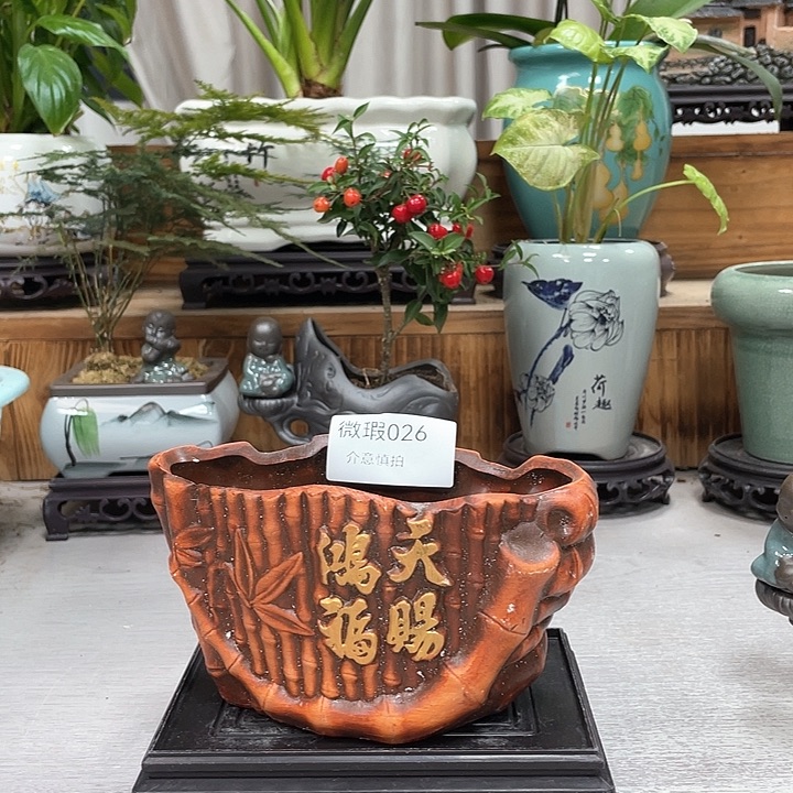 陶瓷花盆抢购福利活动