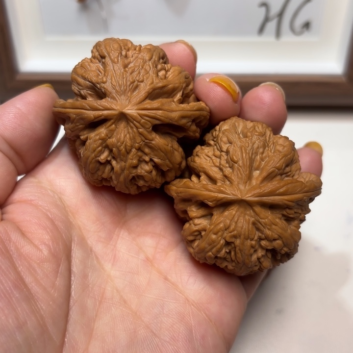 核桃全品大粗筋43
