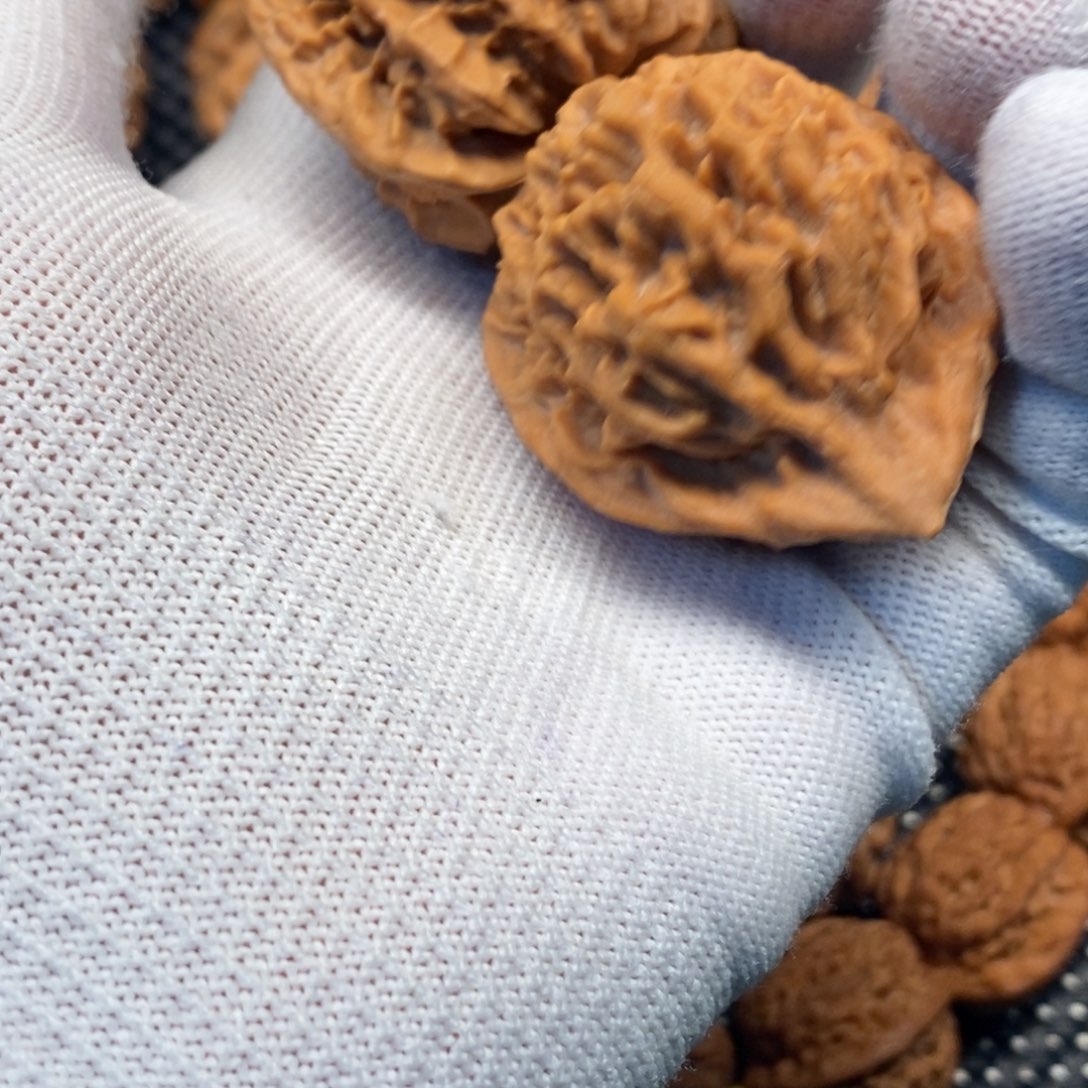 永***恒秦岭山脉和青云高原之间