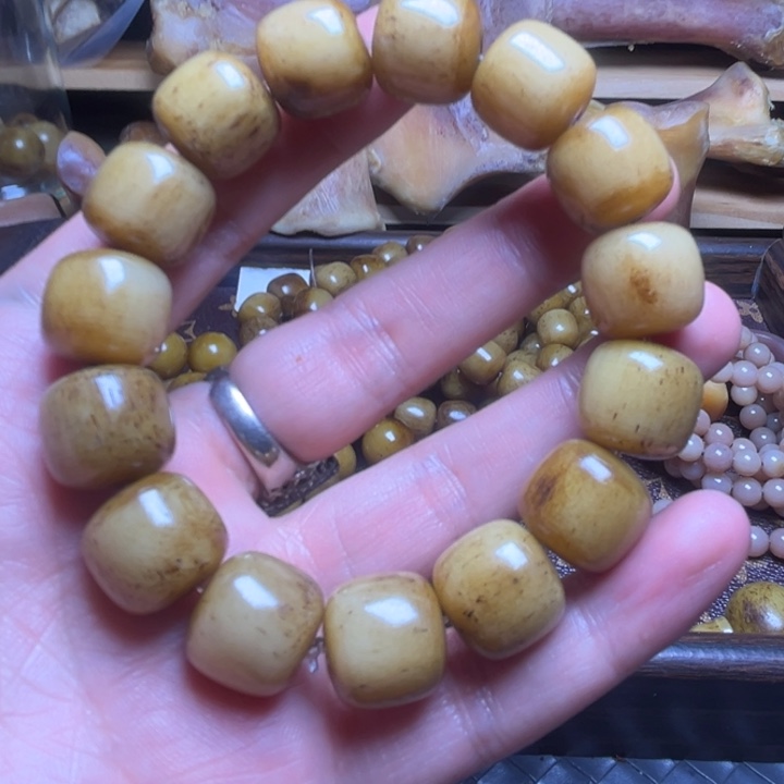 驼骨手串/手链166666666666