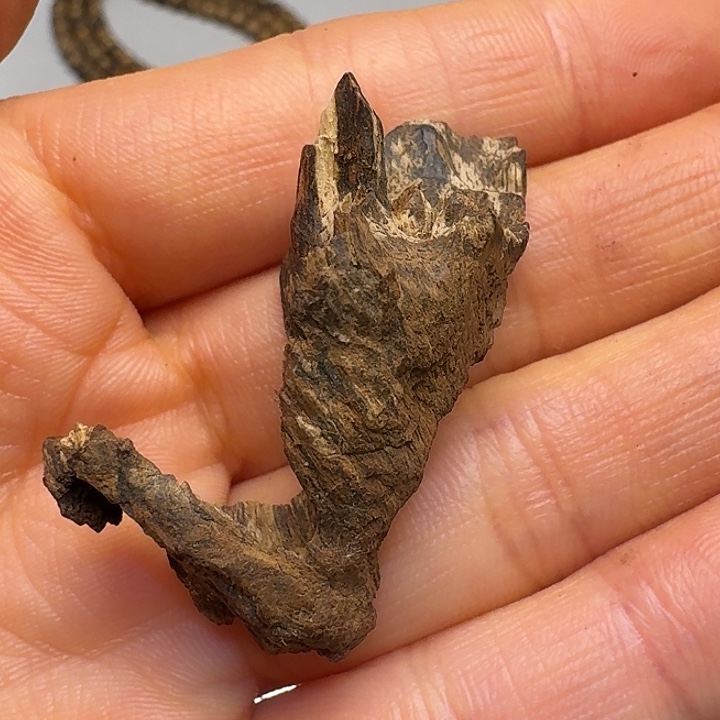 月***可海南沉水2.7克！！！