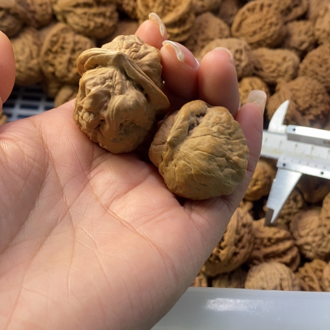 就***…文玩核桃吊坠蛤蟆