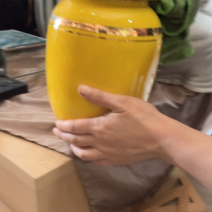 陶瓷花瓶，仿真绿植。