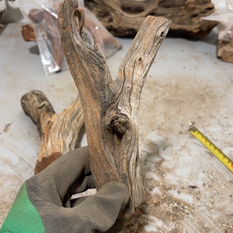 大果紫檀（缅甸花梨）N*