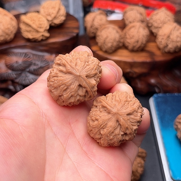 桃核把件核桃龙眼