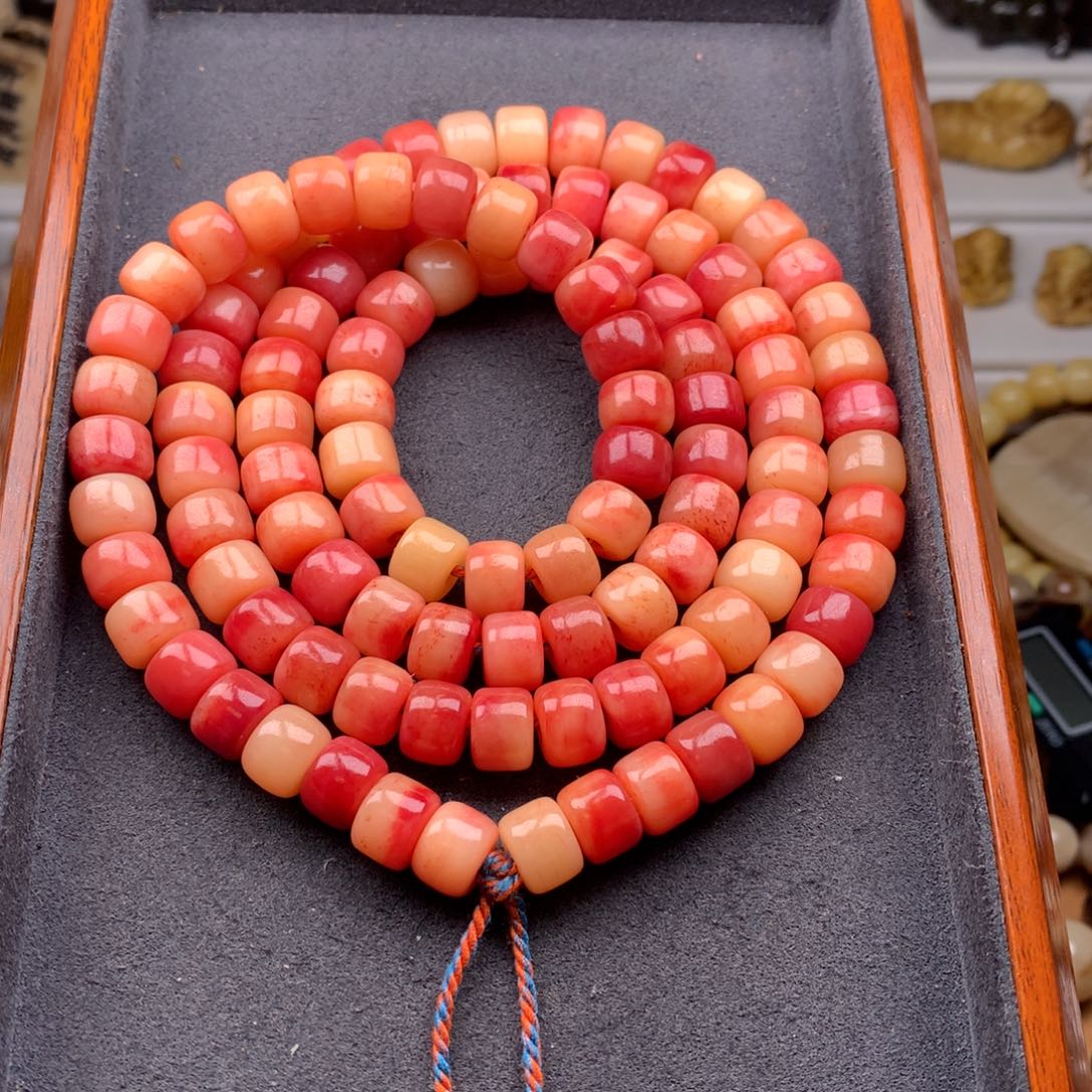 驼骨其他天天都在盘  10