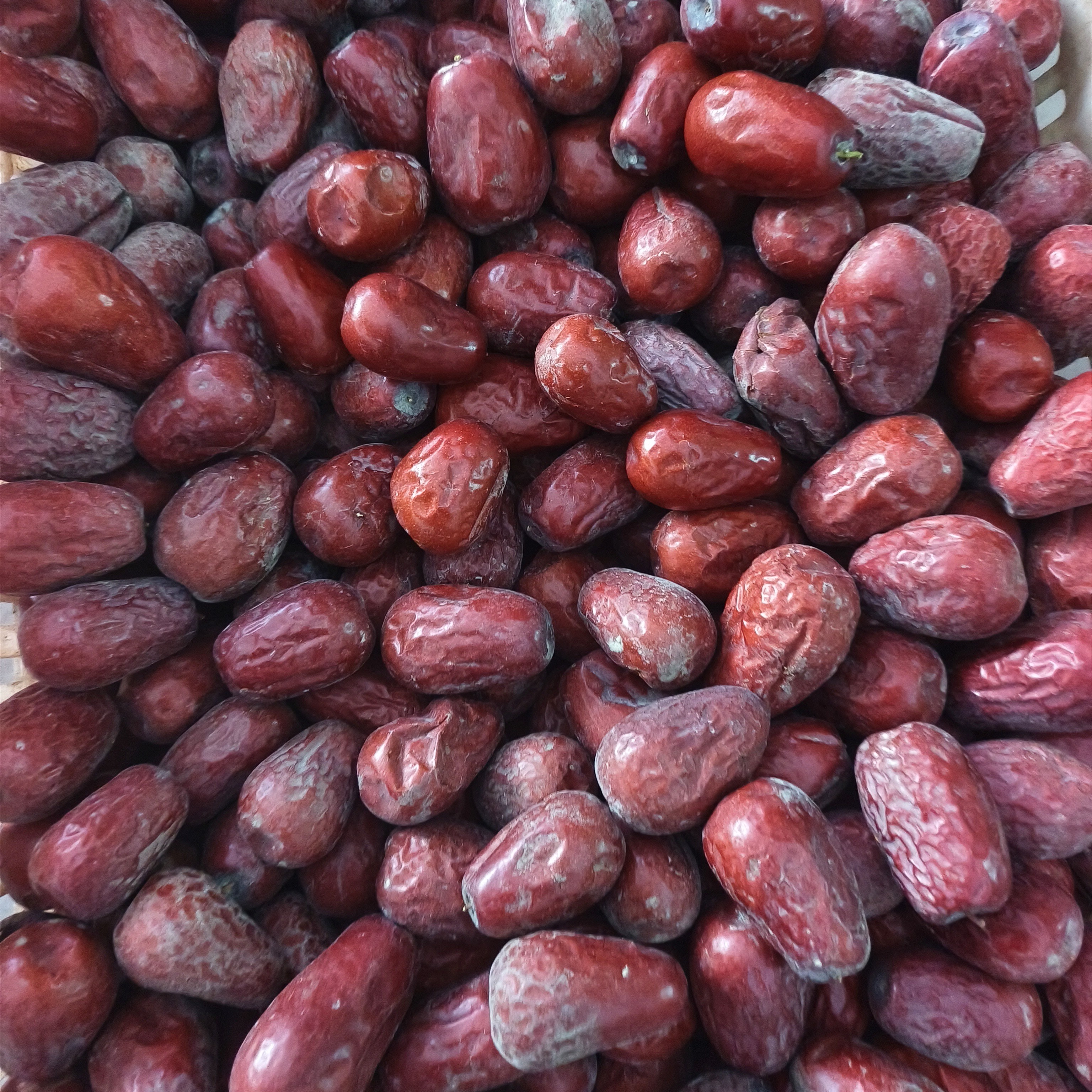 临县本地干枣骏枣黄河滩枣25年新货