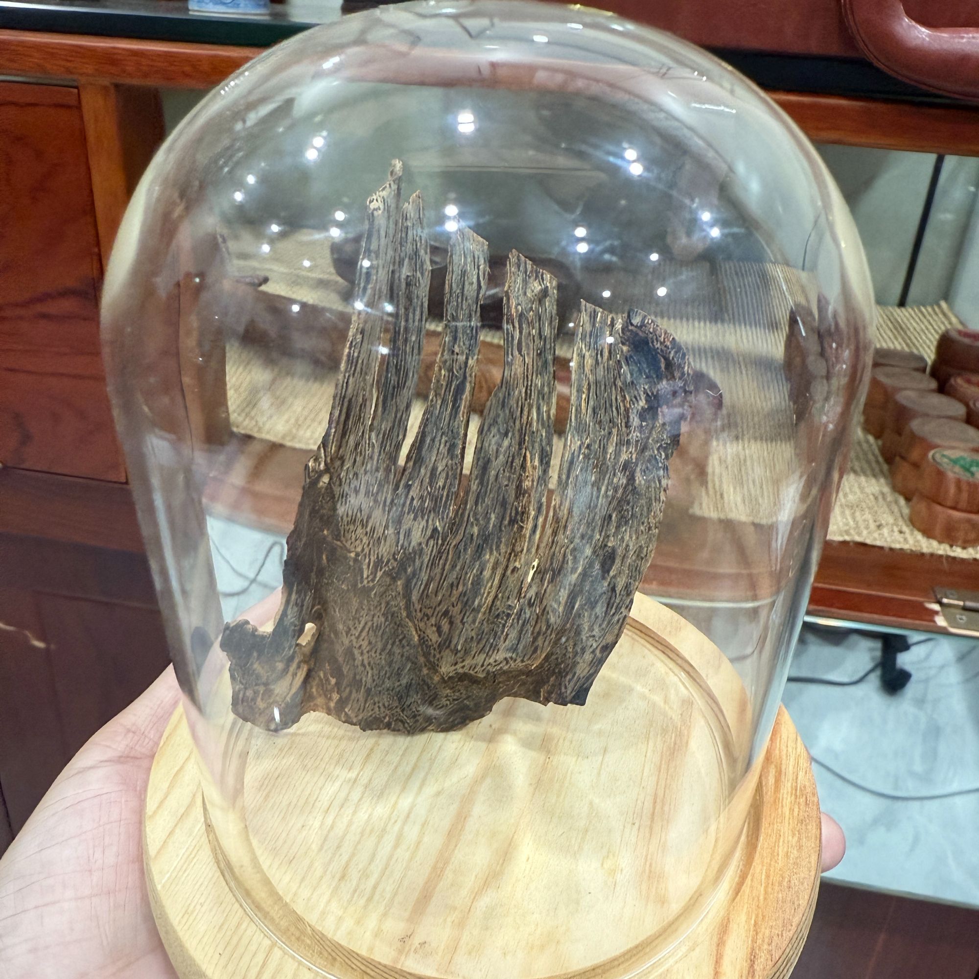 沉香海口保险柜 五指山皮油摆件 沉香海南莺歌绿奇楠