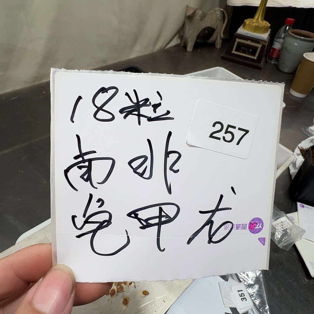 多肉植物专拍植物不退换 一物一拍 257