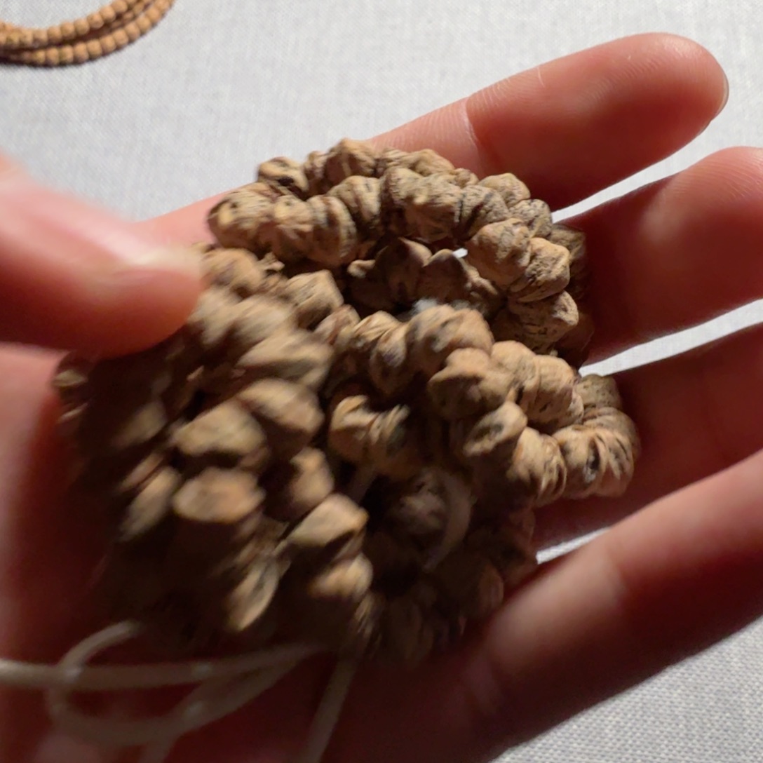 吊坠柏香籽/百香籽