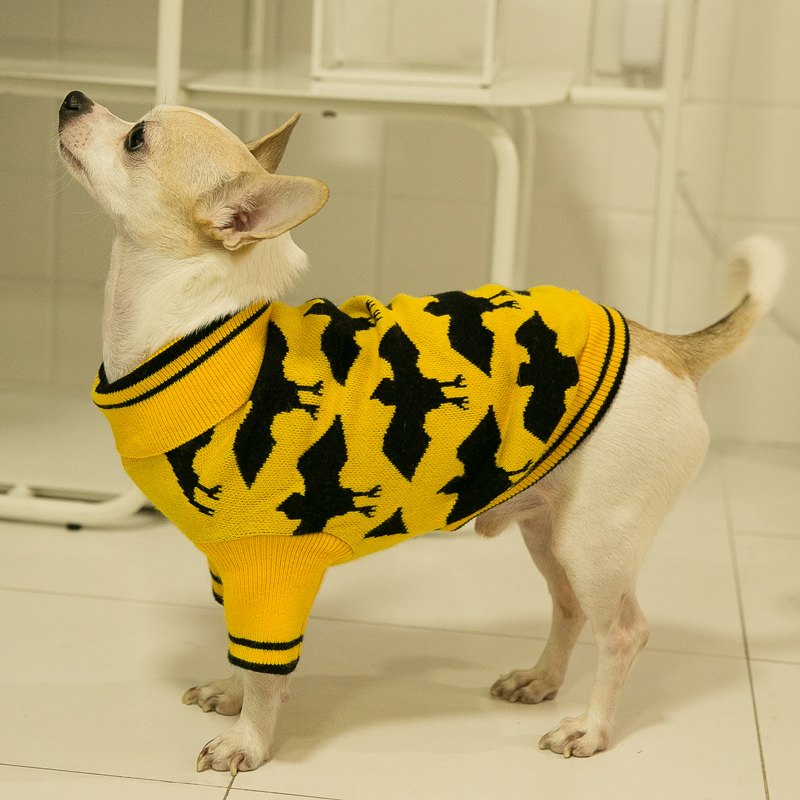 狗狗衣服春夏秋保暖兔绒打底衫加厚狗狗毛衣猫衣服泰迪宠物衣服冬