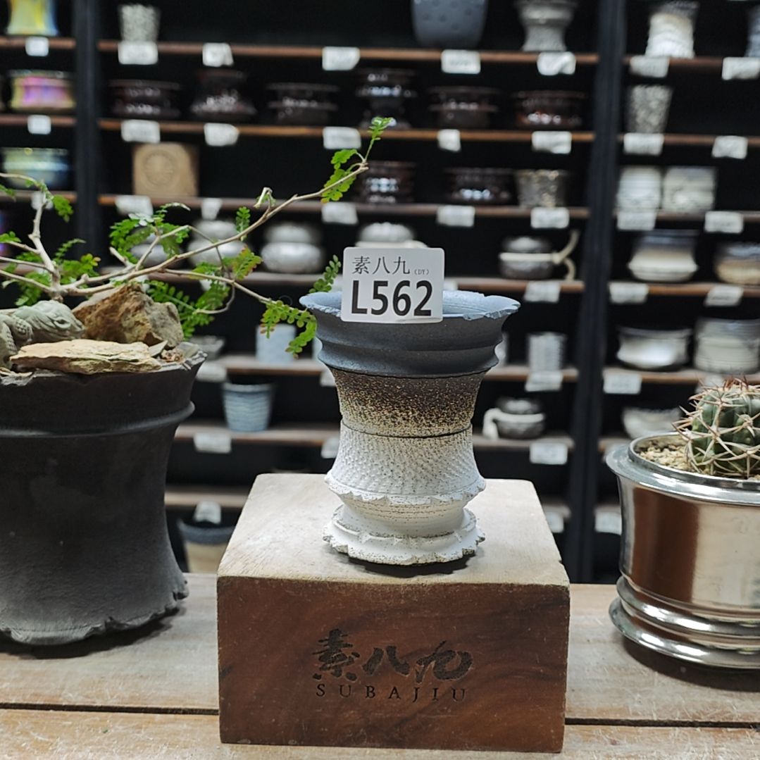 瓷素八九陶瓷内口9.5高11.5