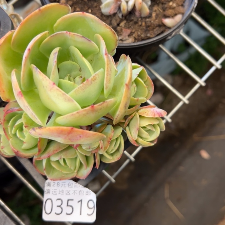 幸运的是我还没遇到过