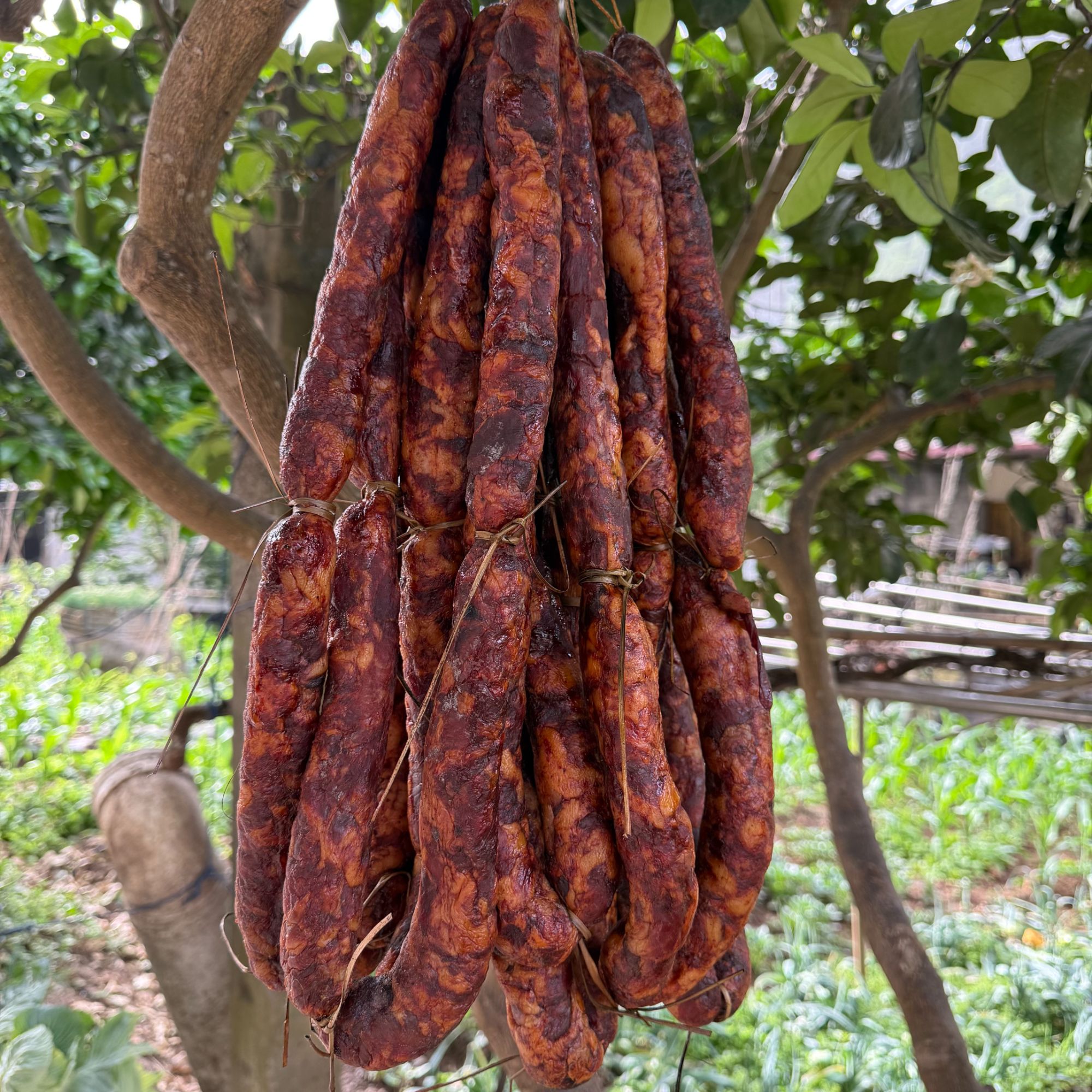 四川土猪手工麻辣香肠