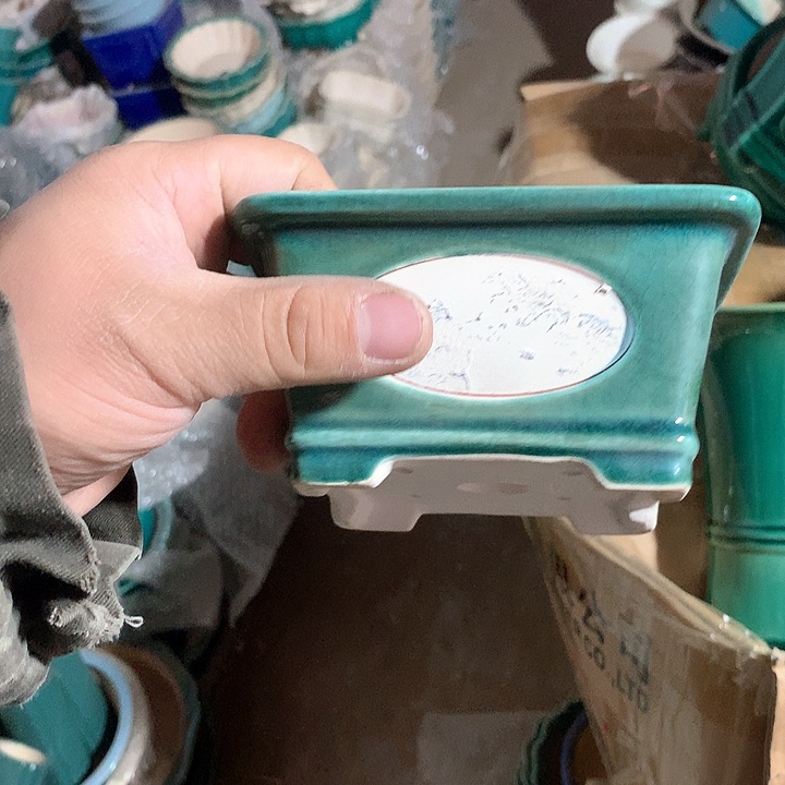 紫砂我要不明天就要开始