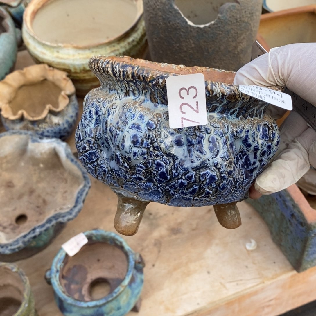 红陶z****v94号多肉盆一个呀