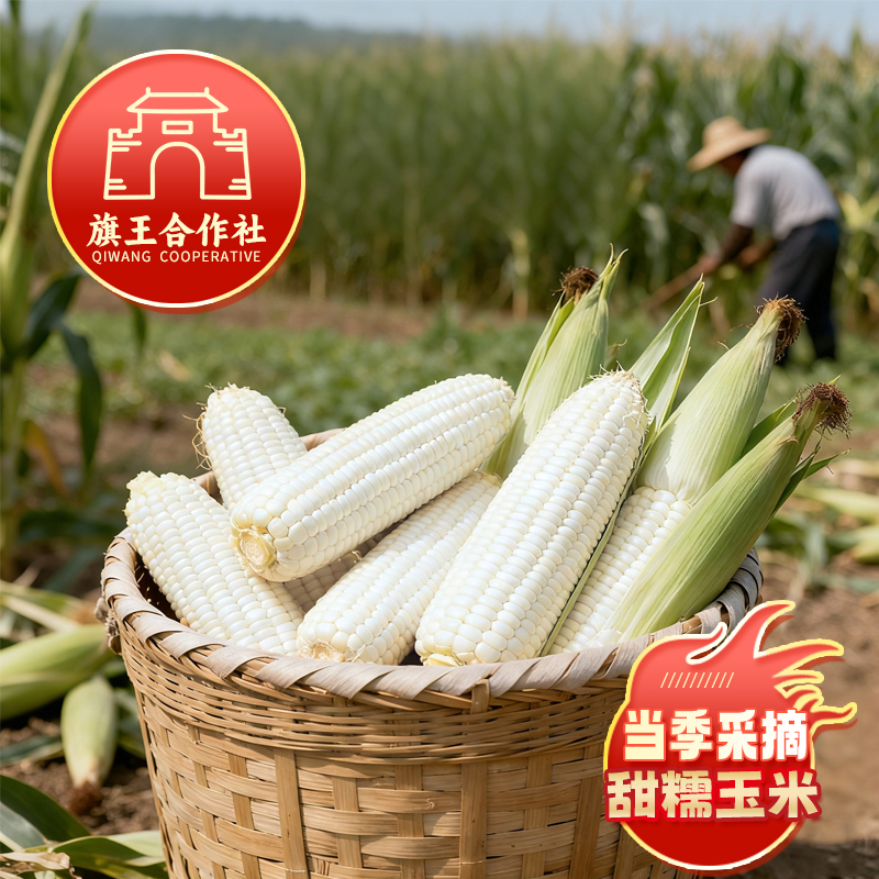 东北新鲜粗粮代餐香甜软粘白糯玉米14根整箱8斤