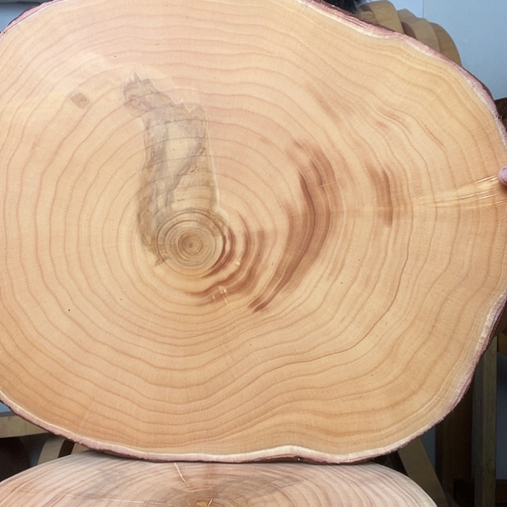 木A银杏木菜板原木整切