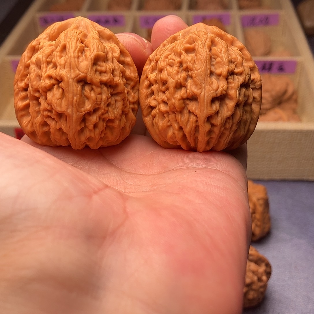 文玩核桃把件红锦鲤45（头货精品