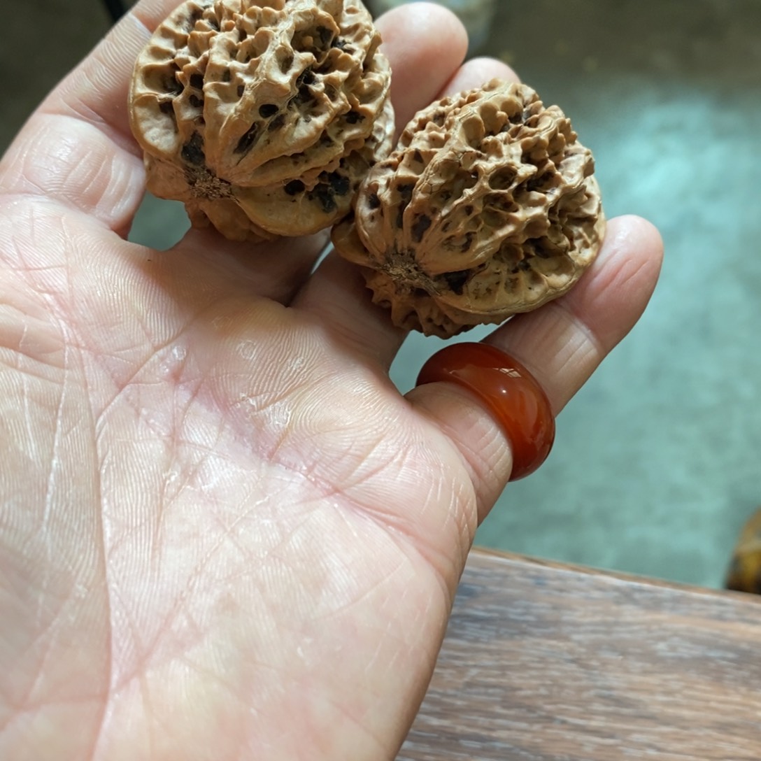 秦岭南侧和东北北部部分地