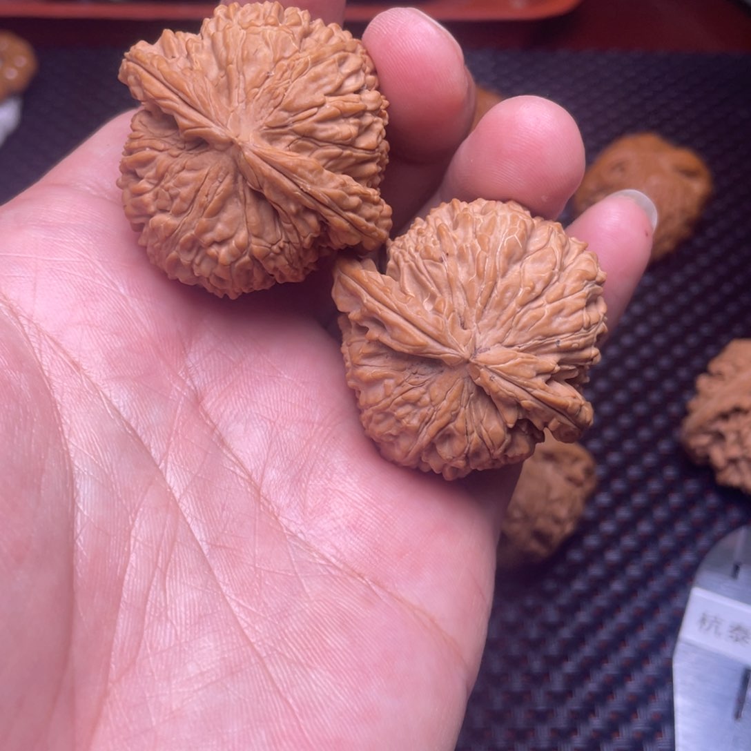 文玩核桃把件全品白狮子球白42尺