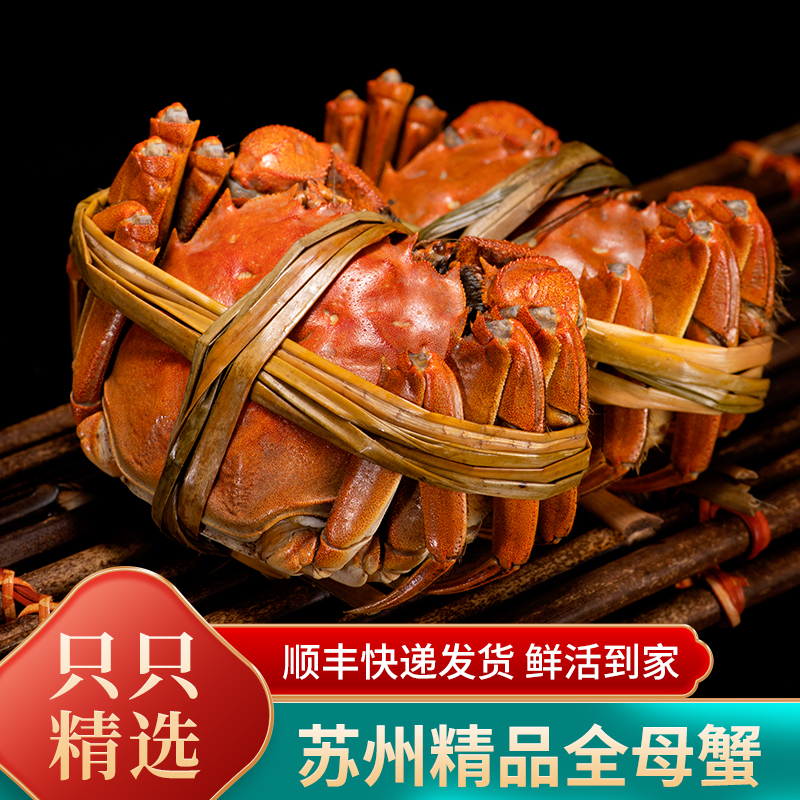【活蟹】苏州精品大闸蟹全母蟹3.4~3.1两8只+2只顺风京东冷链