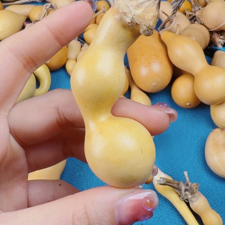 世****?了，斤斤计较咯哦里咯哦哦